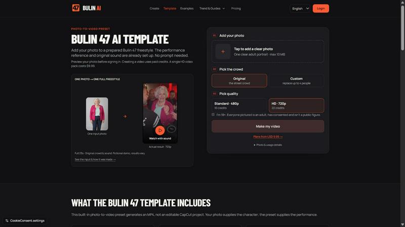 Bulin 47 AI application interface and features