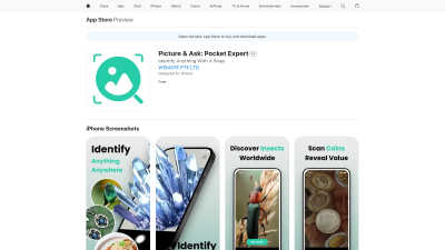 Picture & Ask: Pocket Expert - AI tool for AI Assistants