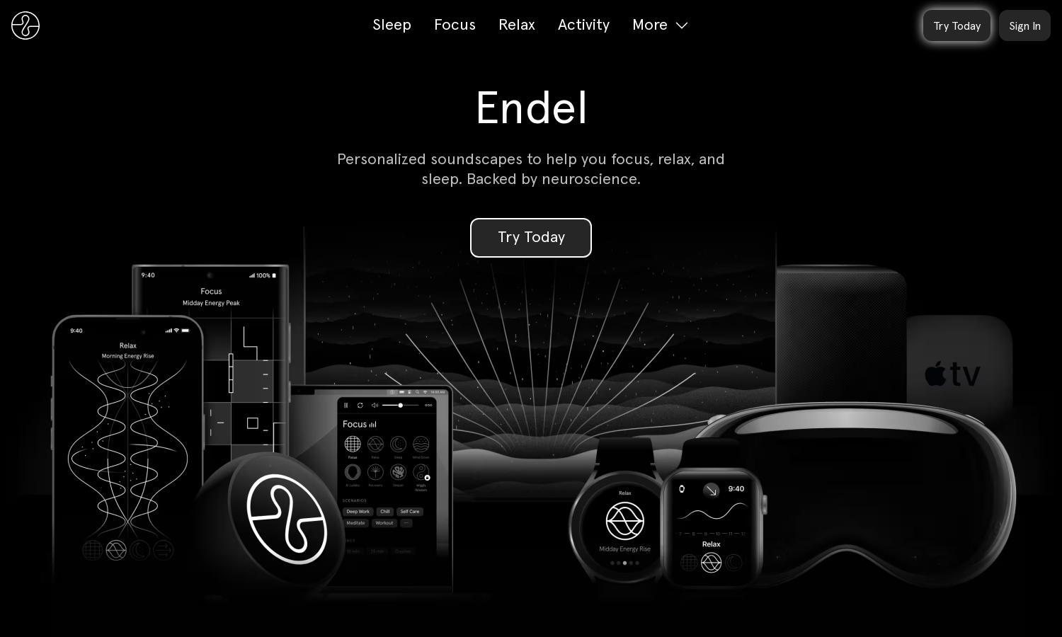 Endel Website