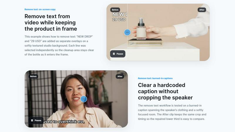 RemoveText.video application interface and features