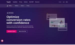 VWO Testing Website